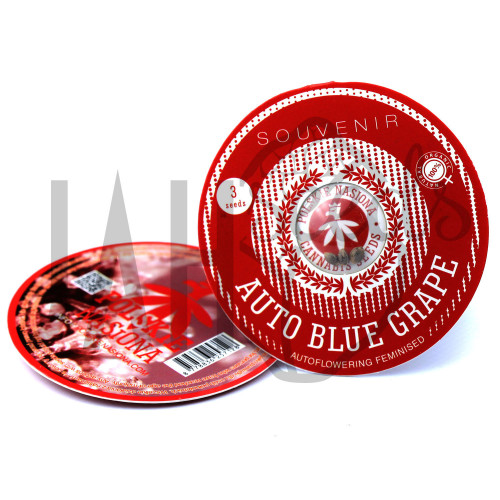 AUTO BLUE GRAPE FEMINISED насіння конопель: фото, характеристики, відгуки, опис