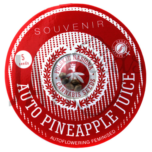 AUTO PINEAPPLE JUICE FEMINISED насіння конопель: фото, характеристики, відгуки, опис