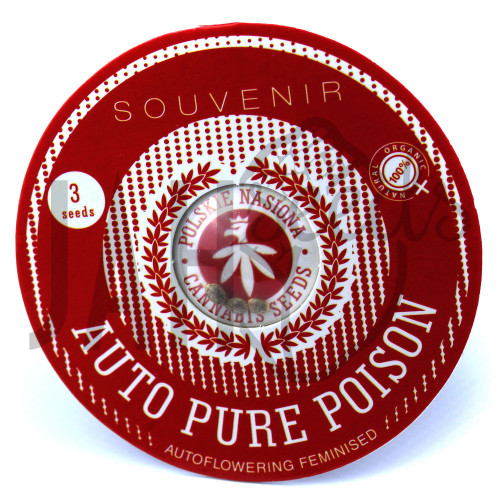 AUTO PURE POISON FEMINISED насіння конопель: фото, характеристики, відгуки, опис