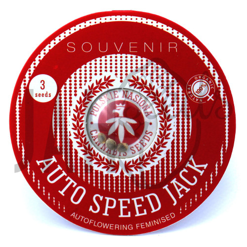 AUTO SPEED JACK FEMINISED насіння конопель: фото, характеристики, відгуки, опис
