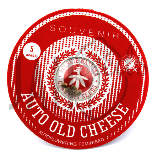 AUTO OLD CHEESE FEMINISED семена конопли: фото, характеристики, отзывы, описание AUTO OLD CHEESE FEMINISED семена конопли: фото, характеристики, отзывы, описание
