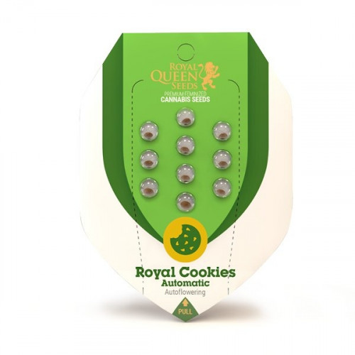 Auto Royal Cookies семена конопли: фото, характеристики, отзывы, описание