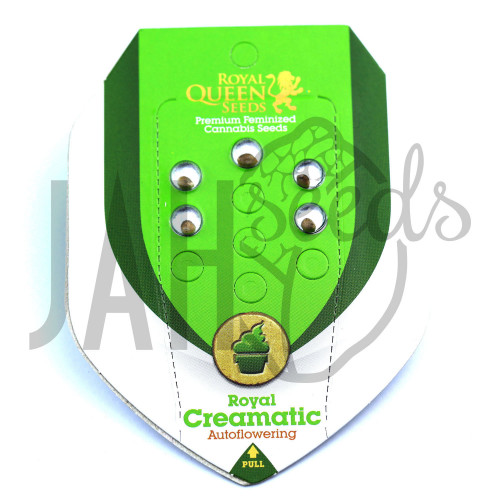Auto Royal Creamatic Feminised семена конопли: фото, характеристики, отзывы, описание Auto Royal Creamatic Feminised семена конопли: фото, характеристики, отзывы, описание