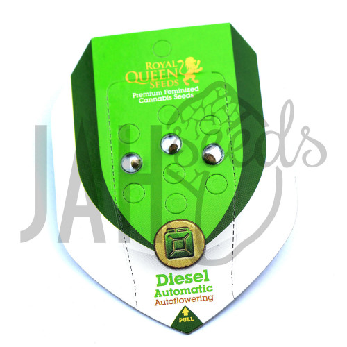 Auto Diesel Feminised насіння конопель: фото, характеристики, відгуки, опис Auto Diesel Feminised насіння конопель: фото, характеристики, відгуки, опис