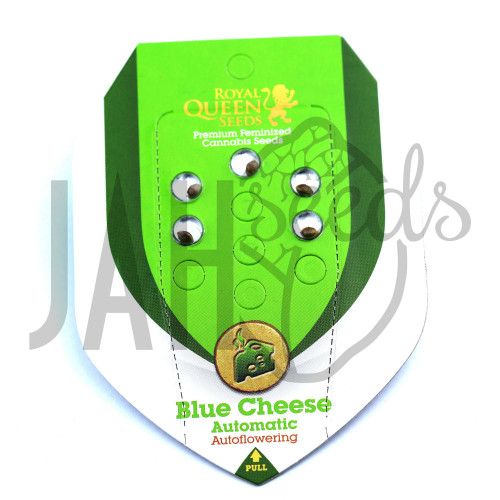 Auto Blue Cheese Feminised семена конопли: фото, характеристики, отзывы, описание Auto Blue Cheese Feminised семена конопли: фото, характеристики, отзывы, описание