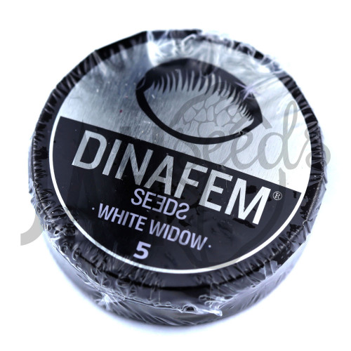 White Widow Feminised - Dinafem Seeds семена конопли: фото, характеристики, отзывы, описание