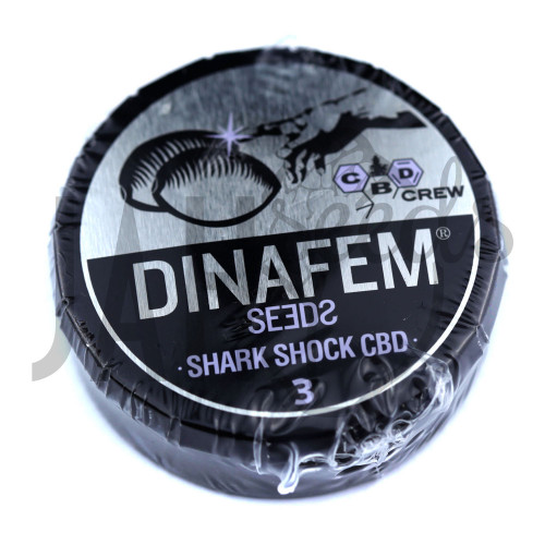 Shark Shock CBD Feminised насіння конопель: фото, характеристики, відгуки, опис