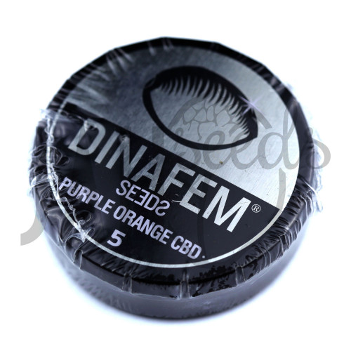 Purple Orange CBD Feminised насіння конопель: фото, характеристики, відгуки, опис