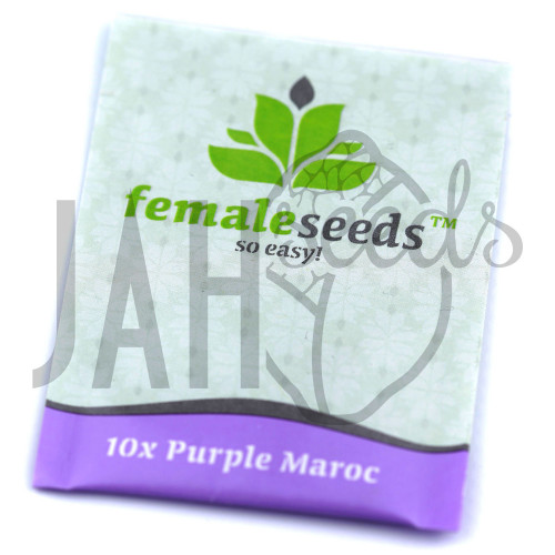 Purple Maroc Feminised семена конопли: фото, характеристики, отзывы, описание Purple Maroc Feminised семена конопли: фото, характеристики, отзывы, описание