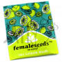 Lemon Kush Feminised семена конопли: фото, характеристики, отзывы, описание Lemon Kush Feminised семена конопли: фото, характеристики, отзывы, описание