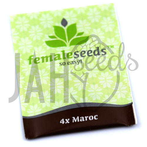 Maroc Feminised семена конопли: фото, характеристики, отзывы, описание