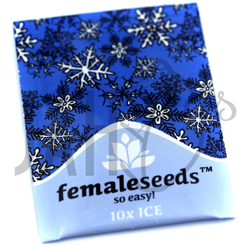 Ice Feminised семена конопли: фото, характеристики, отзывы, описание