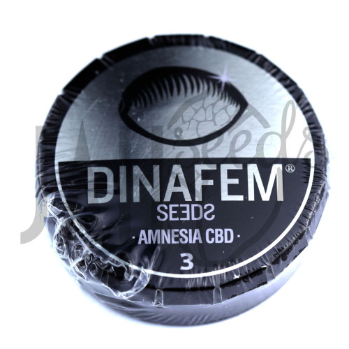 Amnesia CBD Feminised	 насіння конопель: фото, характеристики, відгуки, опис