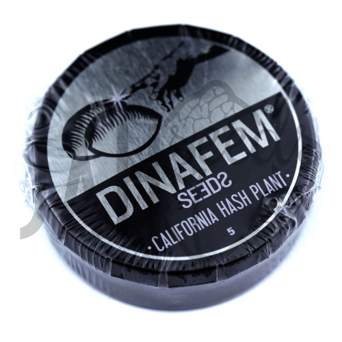 California Hash Plant Feminised насіння конопель: фото, характеристики, відгуки, опис