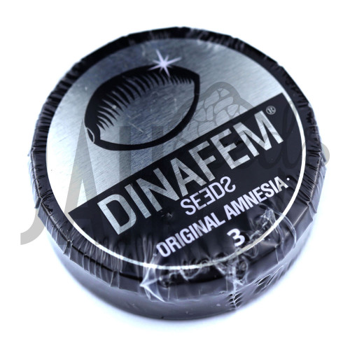 Original Amnesia Feminised семена конопли: фото, характеристики, отзывы, описание