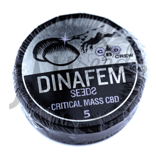 Critical Mass CBD Feminised семена конопли: фото, характеристики, отзывы, описание Critical Mass CBD Feminised семена конопли: фото, характеристики, отзывы, описание