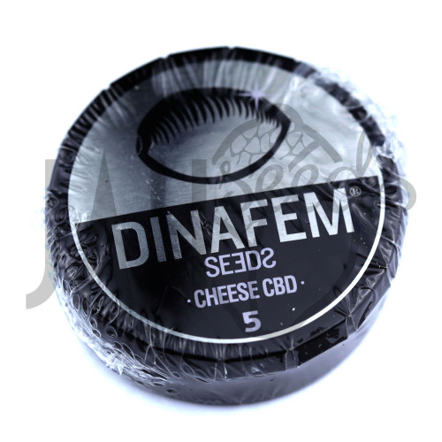 Cheese CBD Feminised семена конопли: фото, характеристики, отзывы, описание