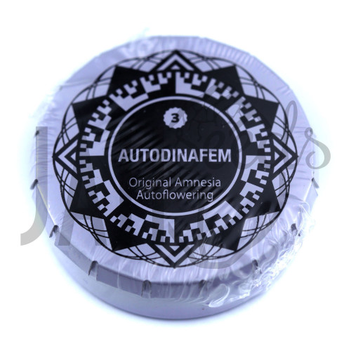 Auto Original Amnesia Feminised	 насіння конопель: фото, характеристики, відгуки, опис Auto Original Amnesia Feminised	 насіння конопель: фото, характеристики, відгуки, опис
