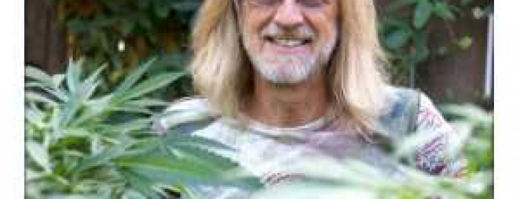 БРИДЕРЫ - КТО ЭТО?