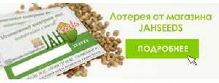 ЛОТЕРЕЯ ОТ МАГАЗИНА JAHSEEDS!