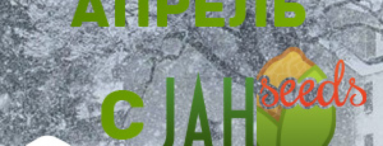 ПЕРЕЗИМУЙ АПРЕЛЬ С JAHSEEDS!