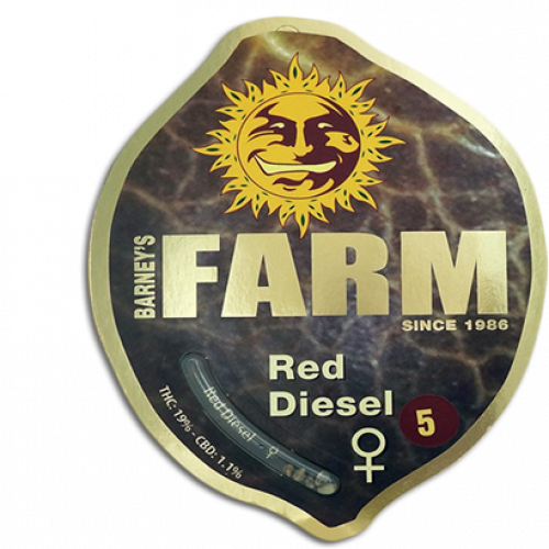 Red Diesel Feminised семена конопли: фото, характеристики, отзывы, описание