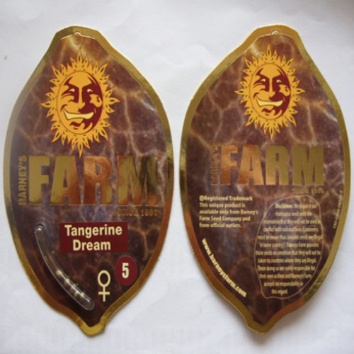 Tangerine Dream Feminised семена конопли: фото, характеристики, отзывы, описание