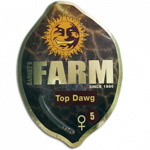 Top Dawg Feminised семена конопли: фото, характеристики, отзывы, описание Top Dawg Feminised семена конопли: фото, характеристики, отзывы, описание