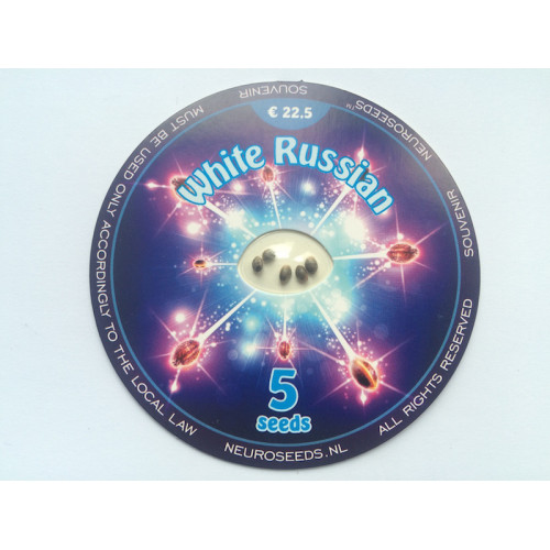 White Russian  семена конопли: фото, характеристики, отзывы, описание