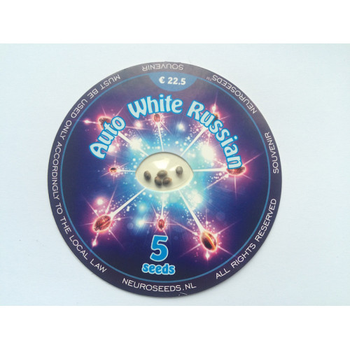 Auto White Russian  семена конопли: фото, характеристики, отзывы, описание
