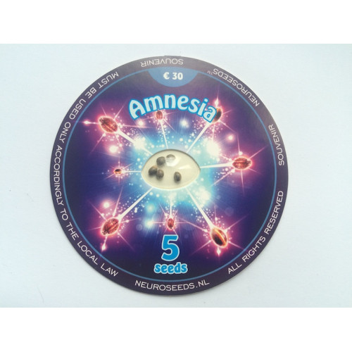 Amnesia - Feminised Neuro Seeds насіння конопель: фото, характеристики, відгуки, опис
