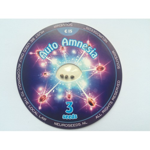 Auto Amnesia Feminised семена конопли: фото, характеристики, отзывы, описание