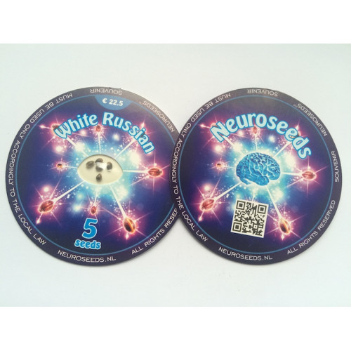 White Russian  семена конопли: фото, характеристики, отзывы, описание