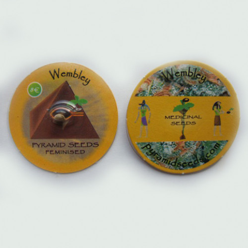 Wembley Feminised насіння конопель: фото, характеристики, відгуки, опис Wembley Feminised насіння конопель: фото, характеристики, відгуки, опис