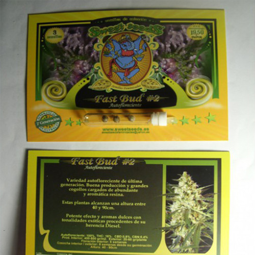 Auto Fast Bud #2 Feminised семена конопли: фото, характеристики, отзывы, описание Auto Fast Bud #2 Feminised семена конопли: фото, характеристики, отзывы, описание