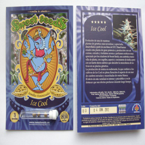 Ice Cool Feminised насіння конопель: фото, характеристики, відгуки, опис