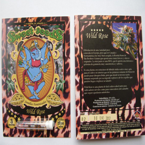 Wild Rose Feminised насіння конопель: фото, характеристики, відгуки, опис