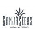 Ganja Seeds