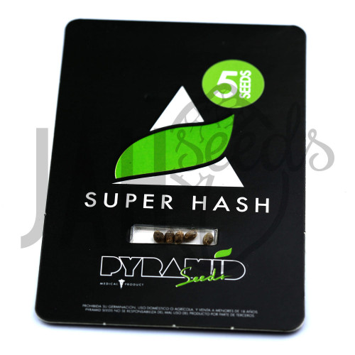 Super Hash Feminised насіння конопель: фото, характеристики, відгуки, опис Super Hash Feminised насіння конопель: фото, характеристики, відгуки, опис