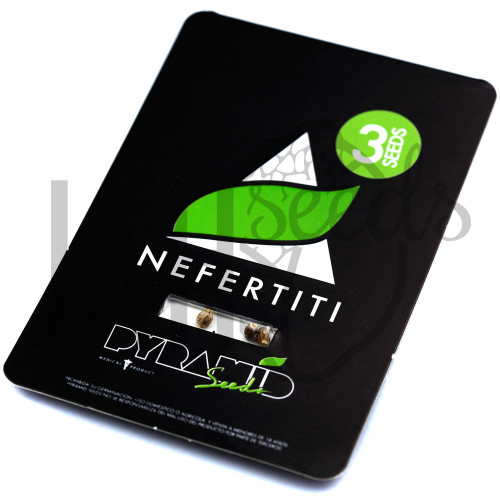 Nefertiti Feminised семена конопли: фото, характеристики, отзывы, описание Nefertiti Feminised семена конопли: фото, характеристики, отзывы, описание