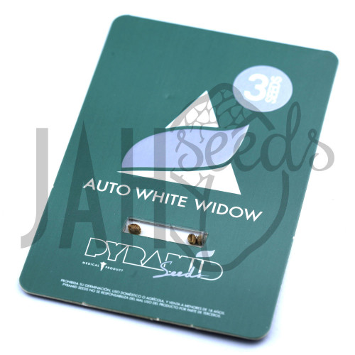 Auto White Widow Feminised - Pyramid Seeds семена конопли: фото, характеристики, отзывы, описание Auto White Widow Feminised - Pyramid Seeds семена конопли: фото, характеристики, отзывы, описание