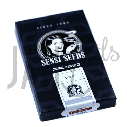 Auto Skunk #1 Feminised семена конопли: фото, характеристики, отзывы, описание Auto Skunk #1 Feminised семена конопли: фото, характеристики, отзывы, описание