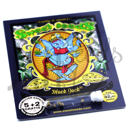Black Jack Feminised семена конопли: фото, характеристики, отзывы, описание
