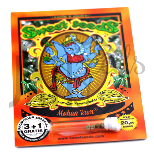 Mohan Ram Feminised насіння конопель: фото, характеристики, відгуки, опис Mohan Ram Feminised насіння конопель: фото, характеристики, відгуки, опис